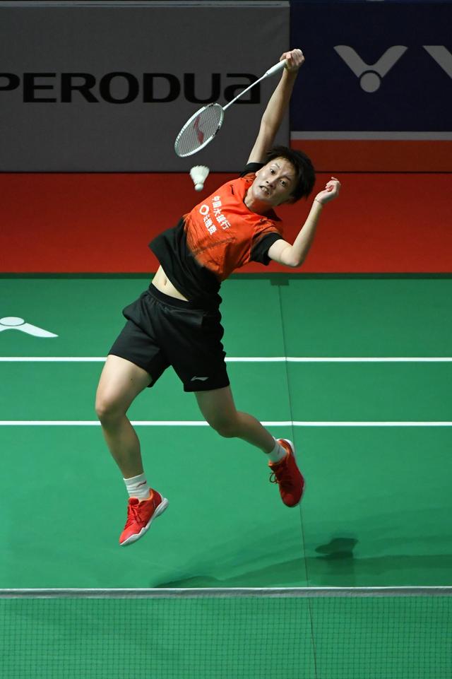 攀椰树速度 攀椰树速度