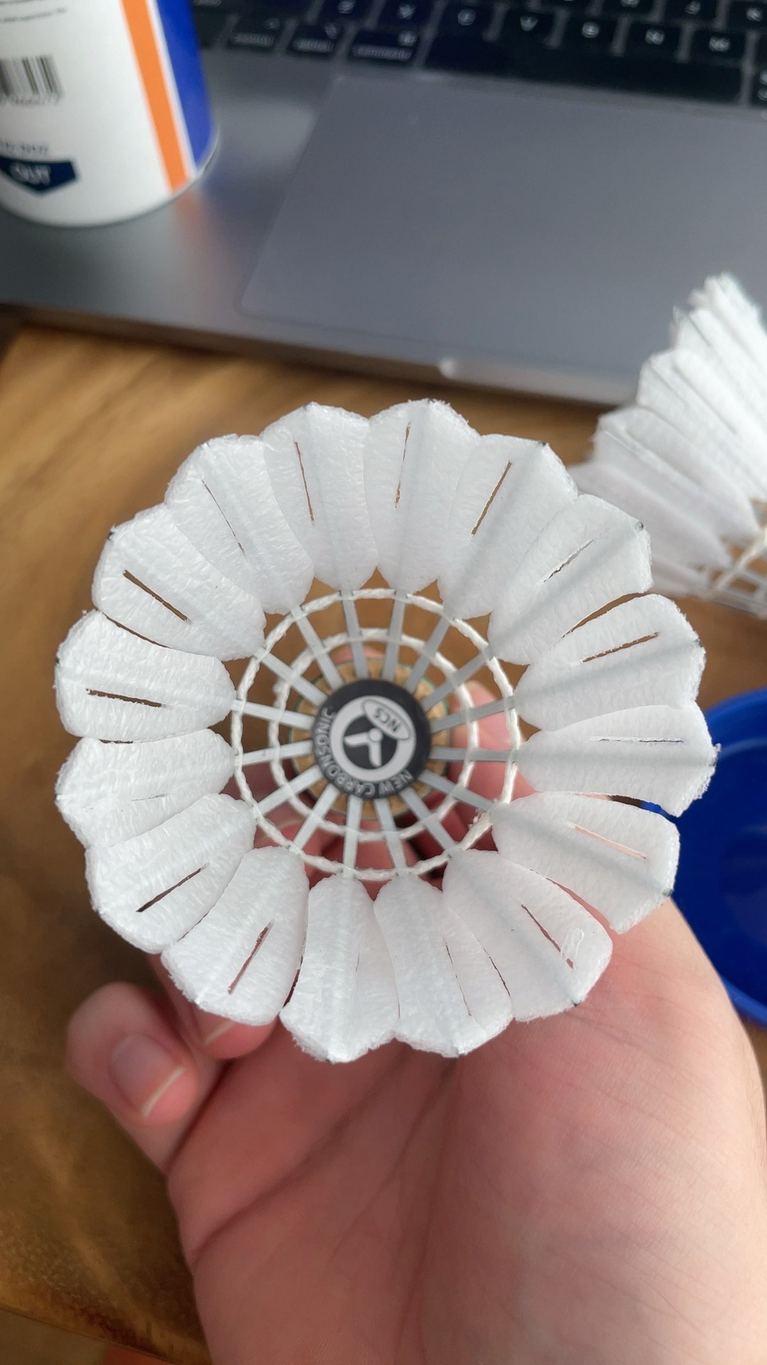 刚加盟波兰 刚加盟波兰