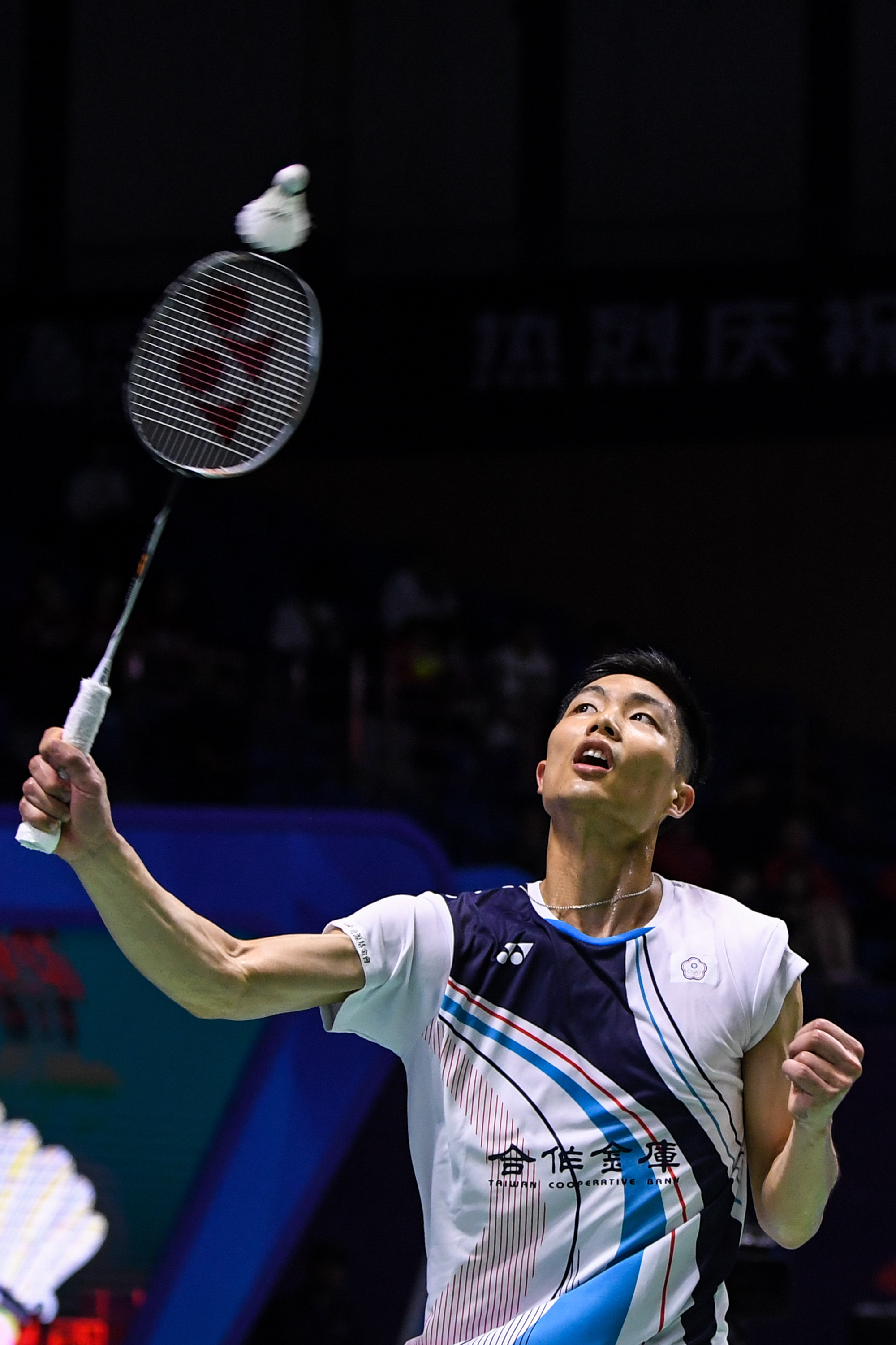 这样的合同 这样的合同